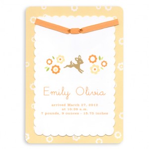 do-it-yourself-photo-birth-announcements