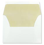 Pearl Lined Accessory Envelope Pearl Lined Accessory Envelope