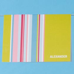 Full-Color Designer Notes