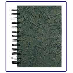 Ancient Leaves Journal