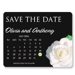 White Rose Magnets