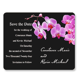 Orchids Magnets