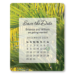 Sawgrass Magnets