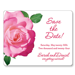 Pink Rose Magnets
