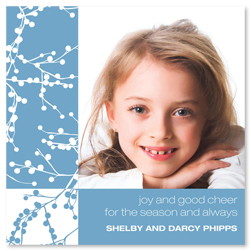 Snow Berry Digital Photo Cards