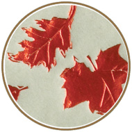 Fall & Thanksgiving Napkins